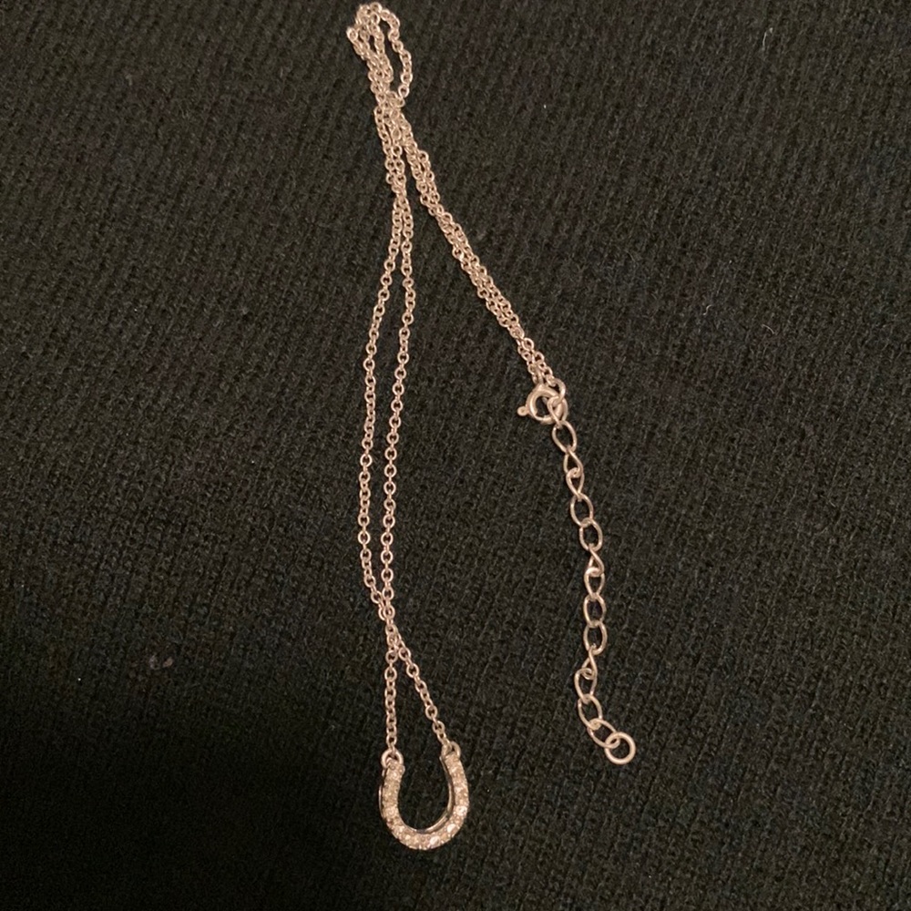 Horseshoe necklace